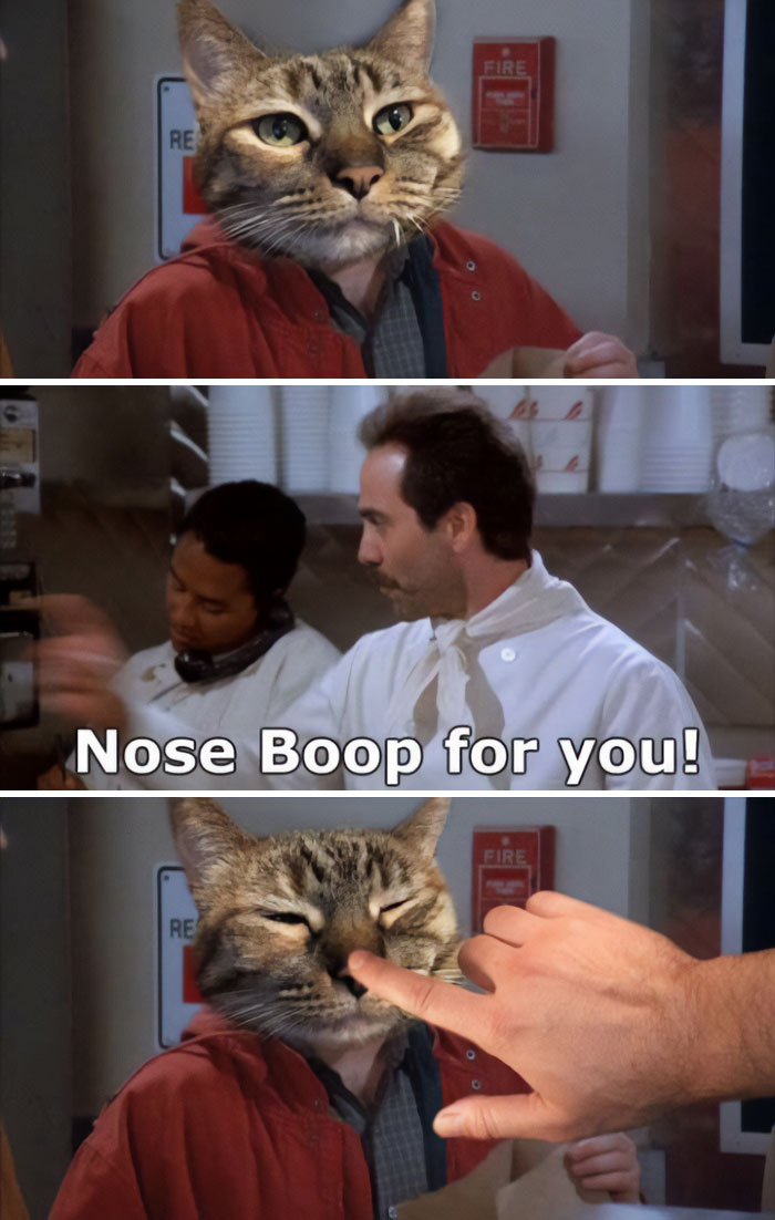 “Look, I Have A Meme To Show You”: 87 Memes You Might Want To Send Your Friends (New Pics)