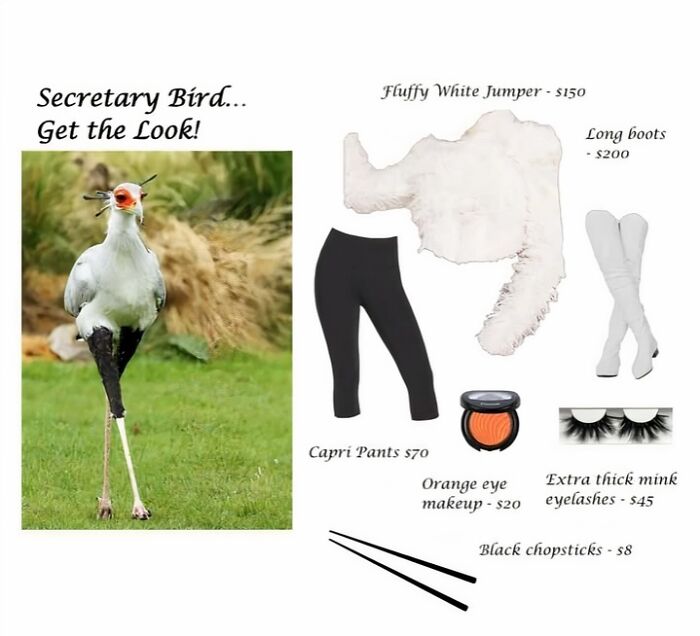 “Look, I Have A Meme To Show You”: 87 Memes You Might Want To Send Your Friends (New Pics)