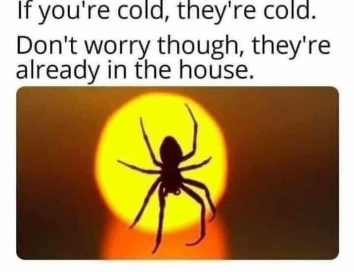 “Look, I Have A Meme To Show You”: 87 Memes You Might Want To Send Your Friends (New Pics)