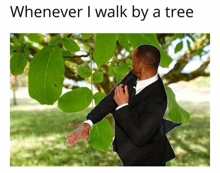 “Look, I Have A Meme To Show You”: 87 Memes You Might Want To Send Your Friends (New Pics)