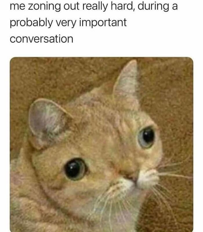 “Look, I Have A Meme To Show You”: 87 Memes You Might Want To Send Your Friends (New Pics)