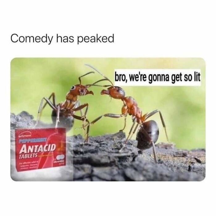 “Look, I Have A Meme To Show You”: 87 Memes You Might Want To Send Your Friends (New Pics)