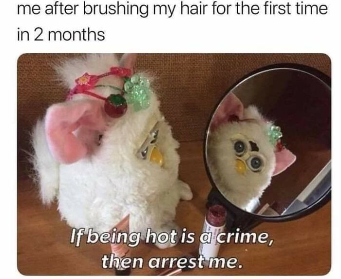 “Look, I Have A Meme To Show You”: 87 Memes You Might Want To Send Your Friends (New Pics)