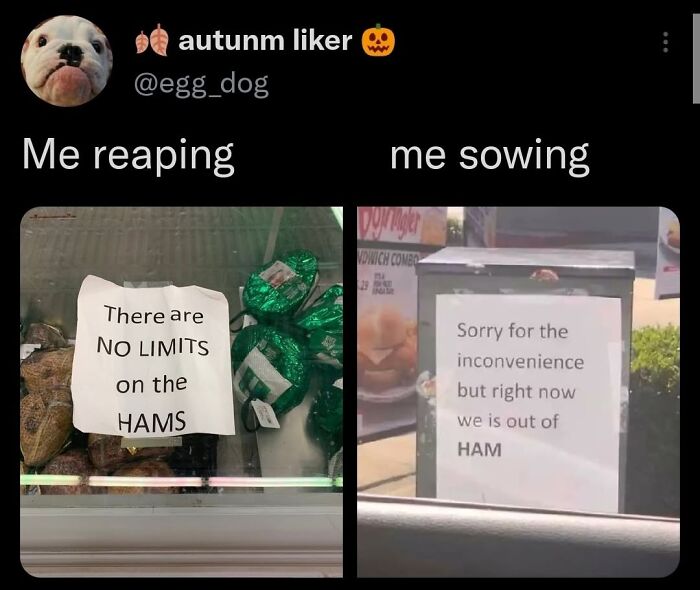 “Look, I Have A Meme To Show You”: 87 Memes You Might Want To Send Your Friends (New Pics)