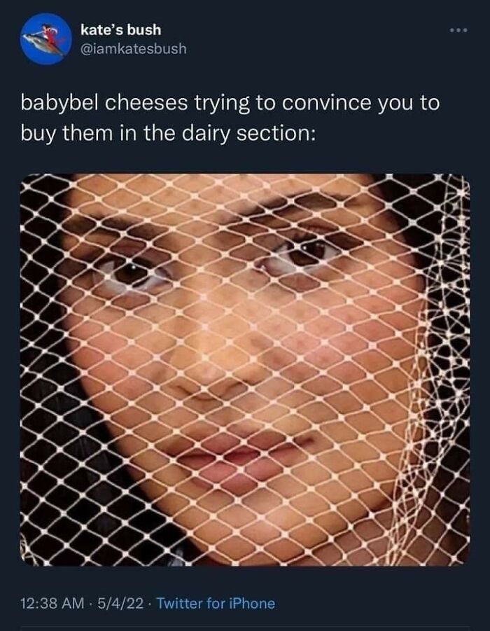 “Look, I Have A Meme To Show You”: 87 Memes You Might Want To Send Your Friends (New Pics)