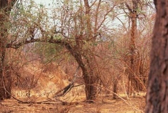 68 “When You See It” Pictures That Are Short-Circuiting People’s Brains 68 “When You See It” Pictures That Are Short-Circuiting People’s Brains