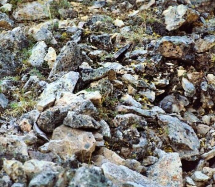 68 “When You See It” Pictures That Are Short-Circuiting People’s Brains 68 “When You See It” Pictures That Are Short-Circuiting People’s Brains