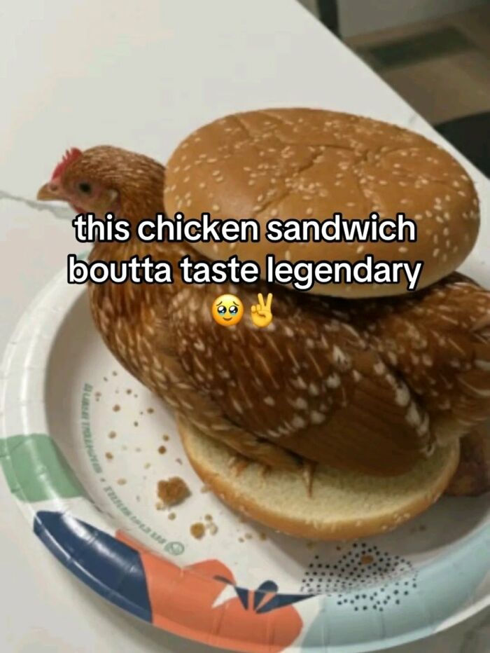75 Images So Cringe They Physically Might Cause You Pain 75 Images So Cringe They Physically Might Cause You Pain