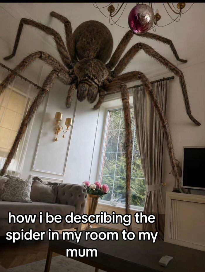 75 Images So Cringe They Physically Might Cause You Pain 75 Images So Cringe They Physically Might Cause You Pain