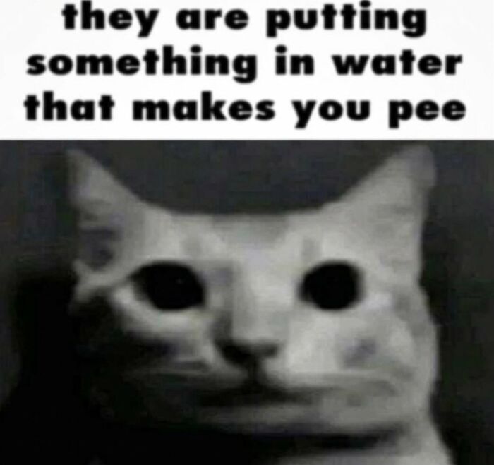 75 Images So Cringe They Physically Might Cause You Pain 75 Images So Cringe They Physically Might Cause You Pain