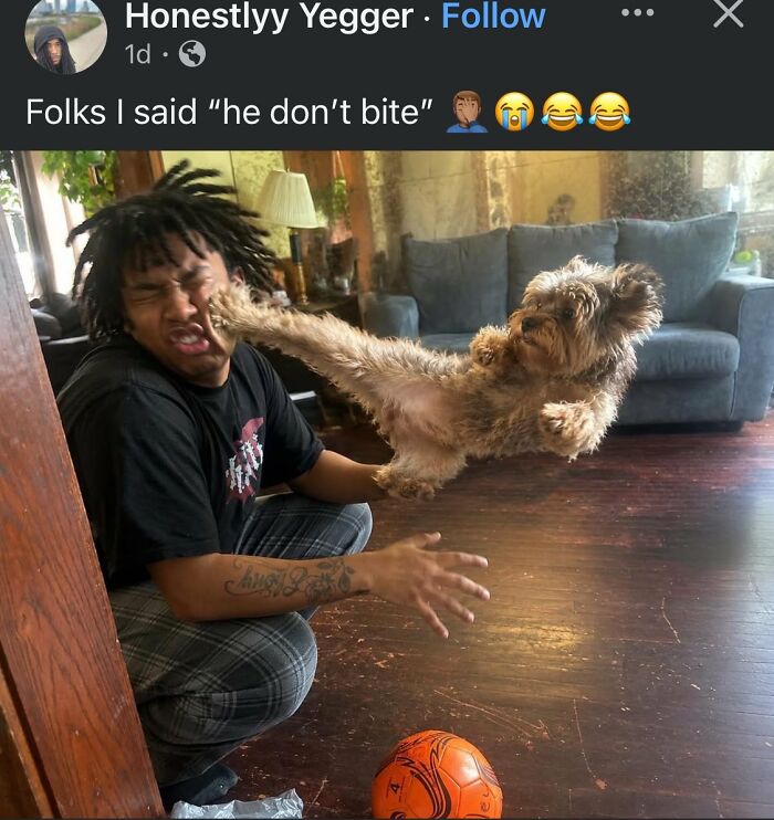 75 Images So Cringe They Physically Might Cause You Pain 75 Images So Cringe They Physically Might Cause You Pain