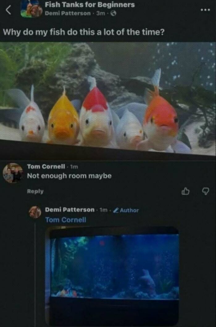 79 Memes That Feel Like A Fever Dream In The Best Way 79 Memes That Feel Like A Fever Dream In The Best Way