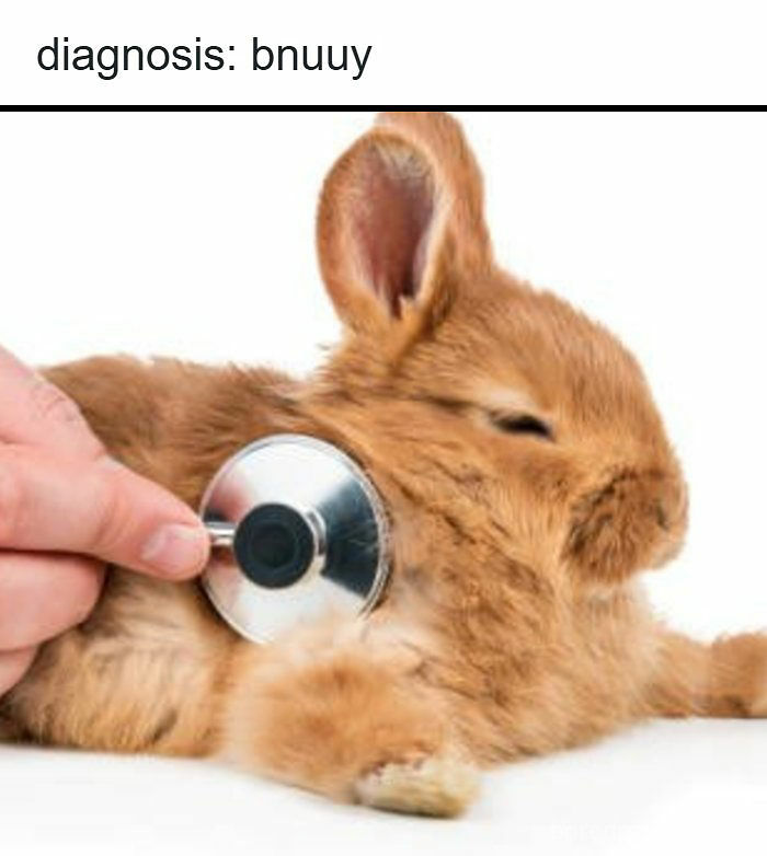 79 Memes That Feel Like A Fever Dream In The Best Way 79 Memes That Feel Like A Fever Dream In The Best Way