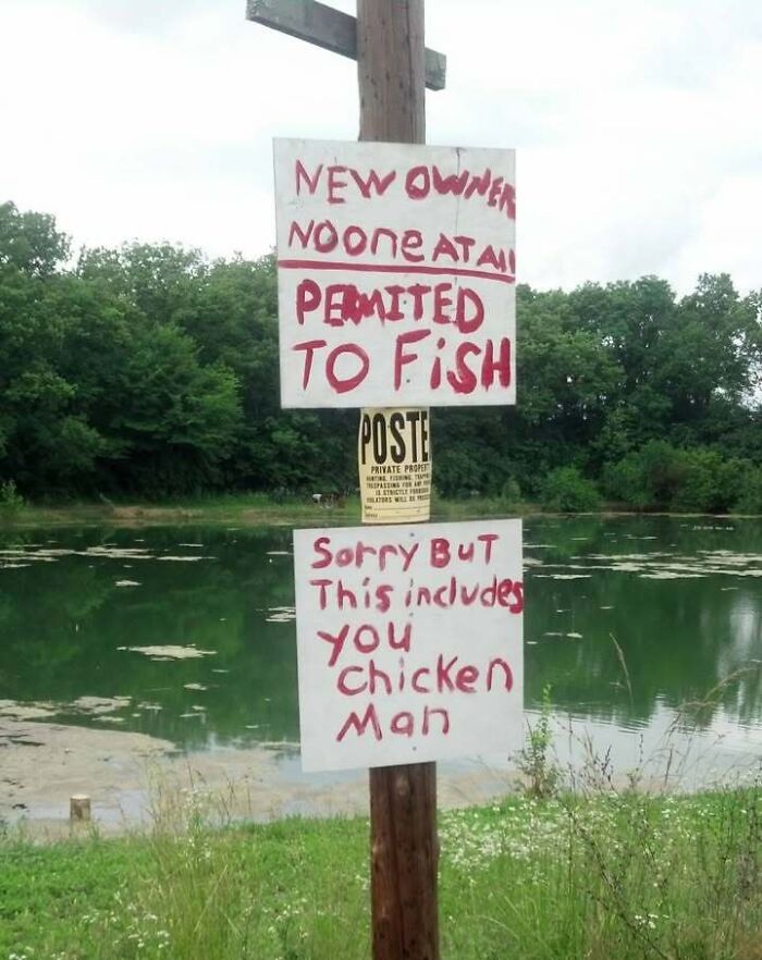 79 Memes That Feel Like A Fever Dream In The Best Way 79 Memes That Feel Like A Fever Dream In The Best Way