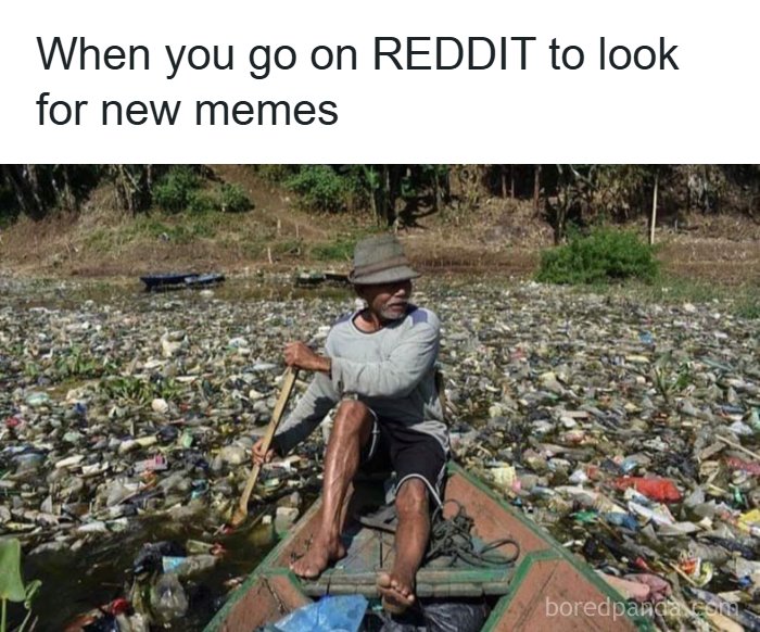 79 Memes That Feel Like A Fever Dream In The Best Way 79 Memes That Feel Like A Fever Dream In The Best Way