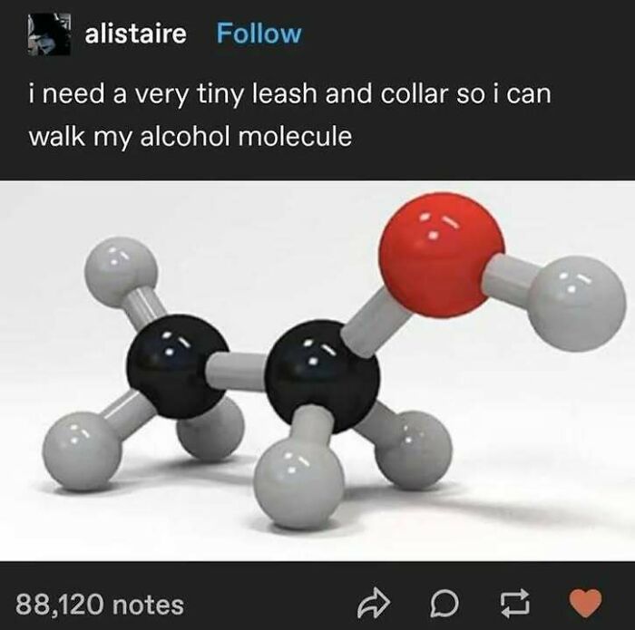 79 Memes That Feel Like A Fever Dream In The Best Way 79 Memes That Feel Like A Fever Dream In The Best Way