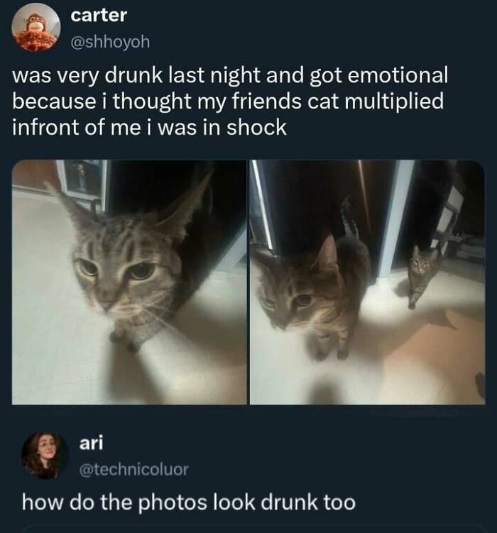 79 Memes That Feel Like A Fever Dream In The Best Way 79 Memes That Feel Like A Fever Dream In The Best Way
