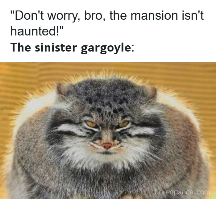 79 Memes That Feel Like A Fever Dream In The Best Way 79 Memes That Feel Like A Fever Dream In The Best Way