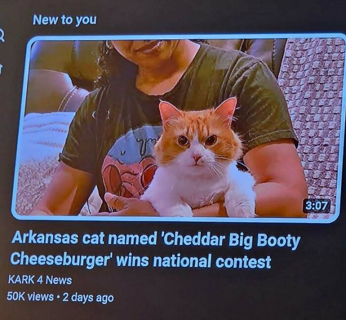 79 Memes That Feel Like A Fever Dream In The Best Way 79 Memes That Feel Like A Fever Dream In The Best Way