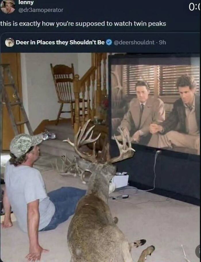 79 Memes That Feel Like A Fever Dream In The Best Way 79 Memes That Feel Like A Fever Dream In The Best Way