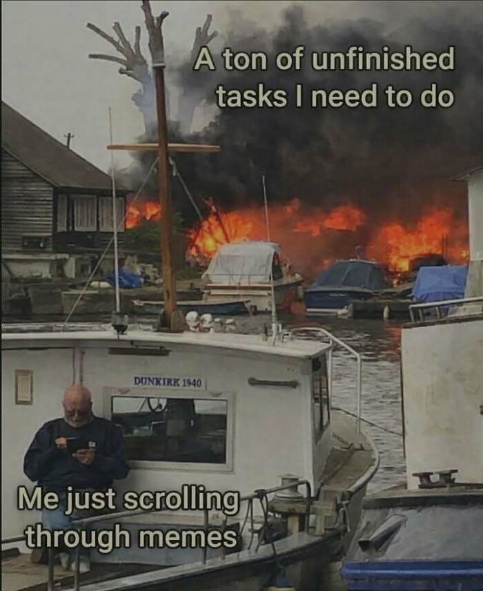 79 Memes That Feel Like A Fever Dream In The Best Way 79 Memes That Feel Like A Fever Dream In The Best Way