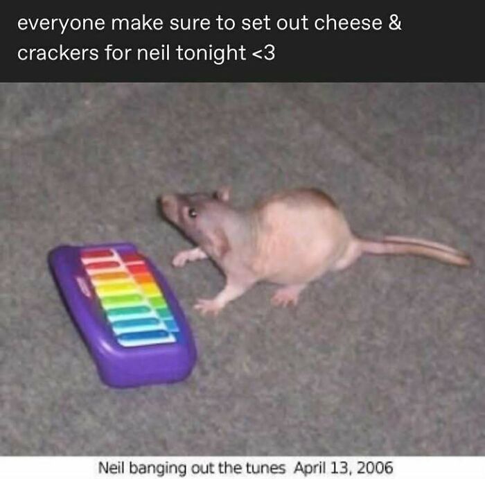 79 Memes That Feel Like A Fever Dream In The Best Way 79 Memes That Feel Like A Fever Dream In The Best Way