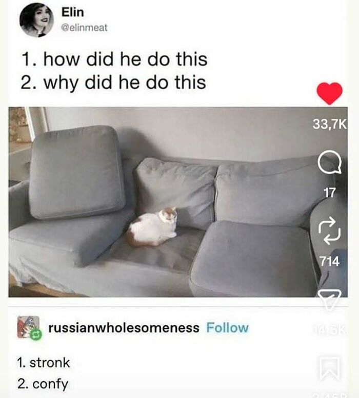 79 Memes That Feel Like A Fever Dream In The Best Way 79 Memes That Feel Like A Fever Dream In The Best Way