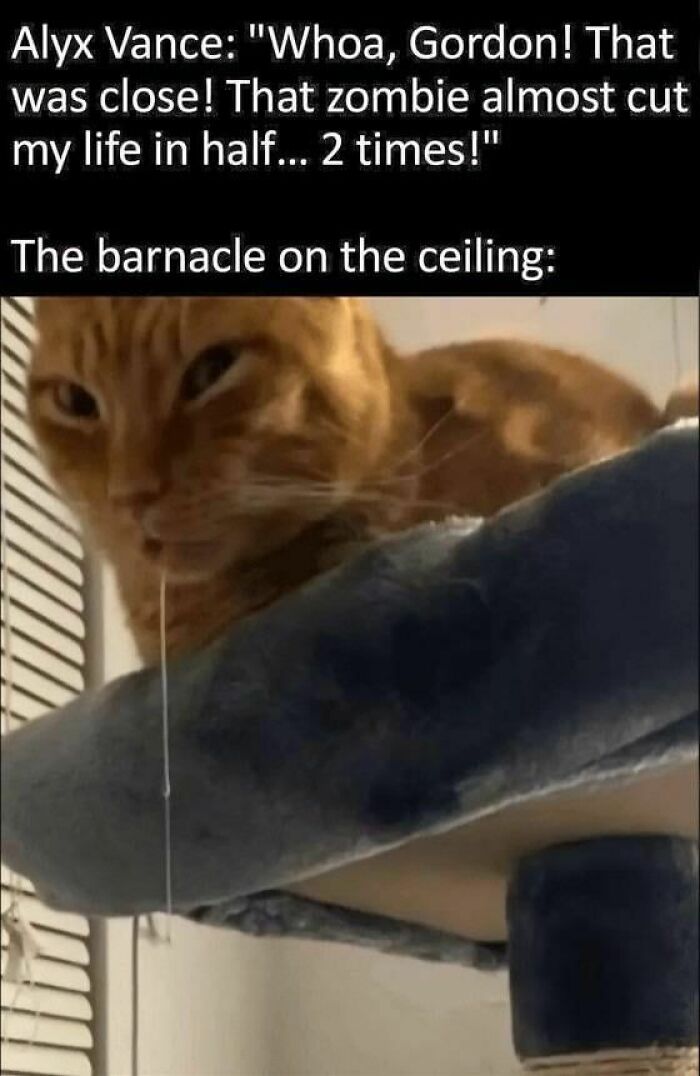 79 Memes That Feel Like A Fever Dream In The Best Way 79 Memes That Feel Like A Fever Dream In The Best Way