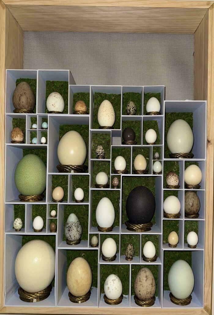 66 Unexpected Yet Most Fascinating Collections People Managed To Build Over The Years 66 Unexpected Yet Most Fascinating Collections People Managed To Build Over The Years
