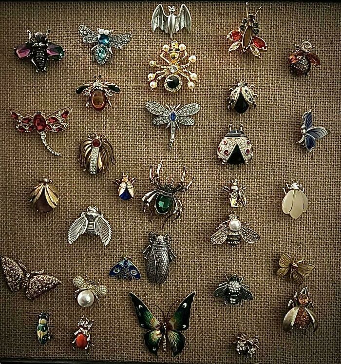 66 Unexpected Yet Most Fascinating Collections People Managed To Build Over The Years 66 Unexpected Yet Most Fascinating Collections People Managed To Build Over The Years