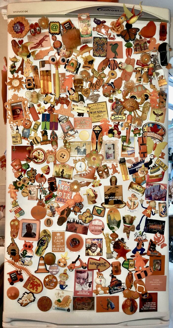 66 Unexpected Yet Most Fascinating Collections People Managed To Build Over The Years 66 Unexpected Yet Most Fascinating Collections People Managed To Build Over The Years