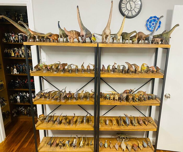66 Unexpected Yet Most Fascinating Collections People Managed To Build Over The Years 66 Unexpected Yet Most Fascinating Collections People Managed To Build Over The Years