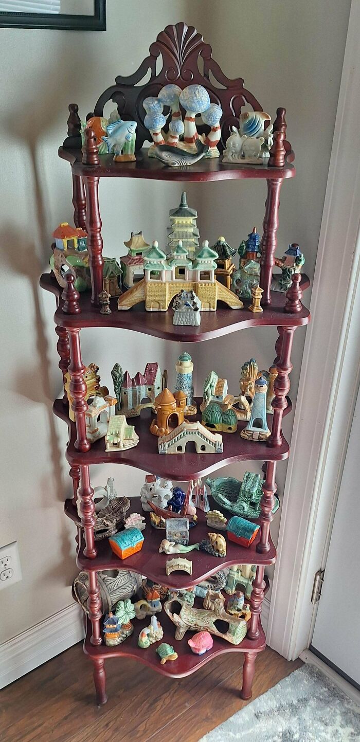 66 Unexpected Yet Most Fascinating Collections People Managed To Build Over The Years 66 Unexpected Yet Most Fascinating Collections People Managed To Build Over The Years