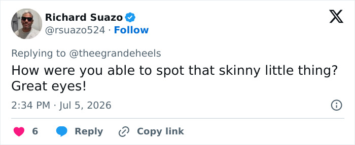 Ariana Grande’s Latest Public Appearance Reignites Concern Among Fans