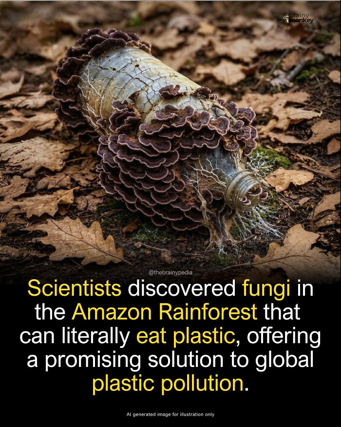 82 Fascinating Pics And Quick Facts For A 5-Minute Brain Boost (New Pics) 82 Fascinating Pics And Quick Facts For A 5-Minute Brain Boost (New Pics)