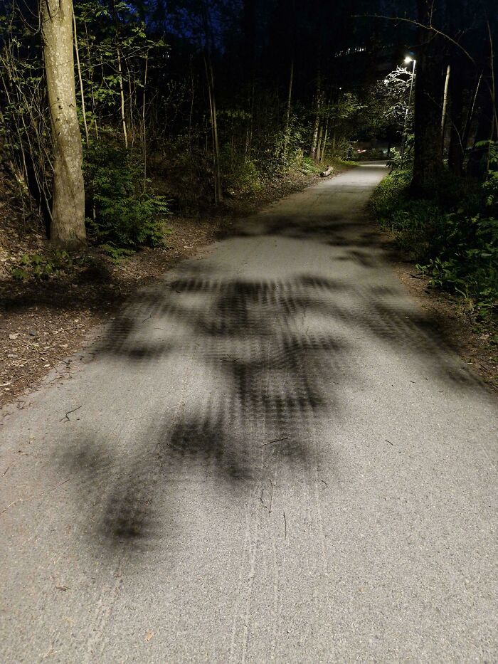 &ldquo;Did I Jump Timelines?&rdquo;: 80 Glitches In The Matrix Caught In Real Life