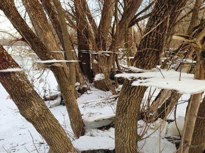 &ldquo;Did I Jump Timelines?&rdquo;: 80 Glitches In The Matrix Caught In Real Life