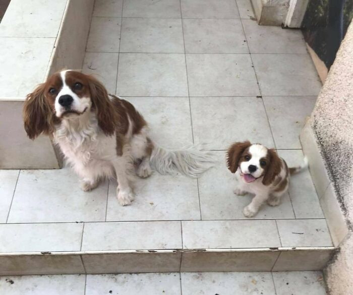 &ldquo;Did I Jump Timelines?&rdquo;: 80 Glitches In The Matrix Caught In Real Life