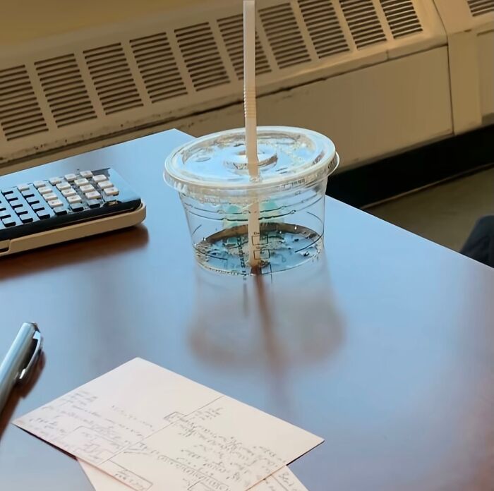 &ldquo;Did I Jump Timelines?&rdquo;: 80 Glitches In The Matrix Caught In Real Life