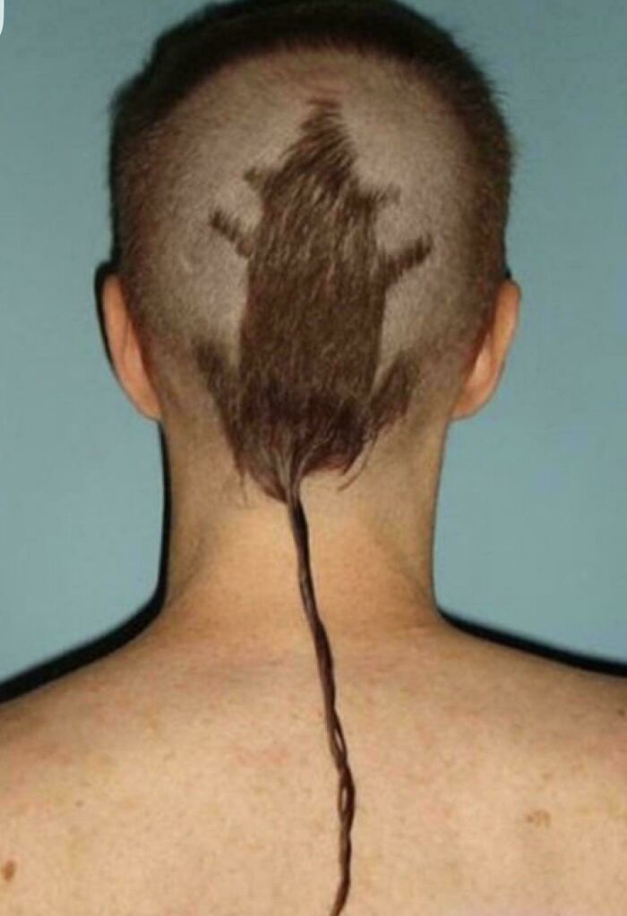 88 Hilariously Bad Hair Mistakes People Had To Live With (New Pics) 88 Hilariously Bad Hair Mistakes People Had To Live With (New Pics)