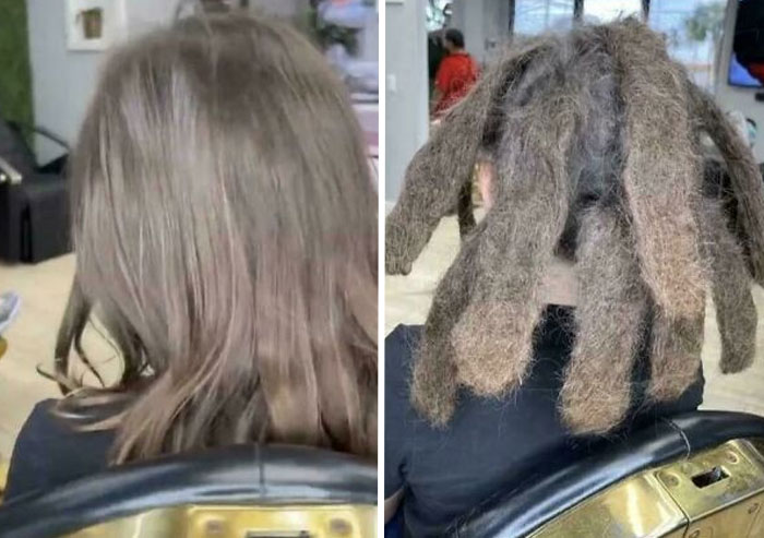 88 Hilariously Bad Hair Mistakes People Had To Live With (New Pics) 88 Hilariously Bad Hair Mistakes People Had To Live With (New Pics)