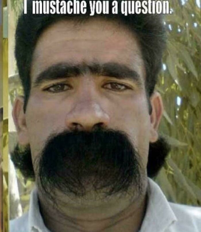88 Hilariously Bad Hair Mistakes People Had To Live With (New Pics) 88 Hilariously Bad Hair Mistakes People Had To Live With (New Pics)
