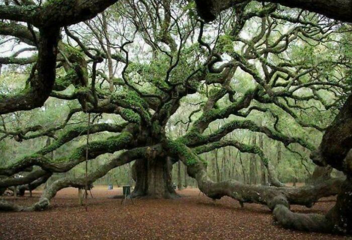 91 Pics That Show Why Extremely Large Things Can Be So Scary And Eerie (New Pics) 91 Pics That Show Why Extremely Large Things Can Be So Scary And Eerie (New Pics)