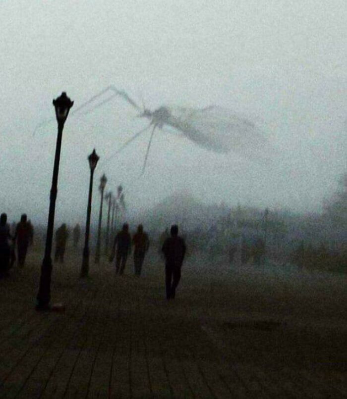 91 Pics That Show Why Extremely Large Things Can Be So Scary And Eerie (New Pics) 91 Pics That Show Why Extremely Large Things Can Be So Scary And Eerie (New Pics)