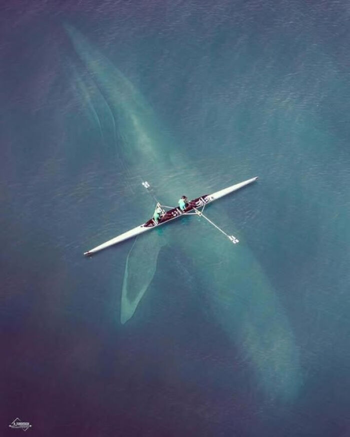 91 Pics That Show Why Extremely Large Things Can Be So Scary And Eerie (New Pics) 91 Pics That Show Why Extremely Large Things Can Be So Scary And Eerie (New Pics)