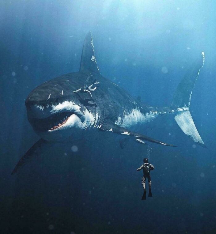 91 Pics That Show Why Extremely Large Things Can Be So Scary And Eerie (New Pics) 91 Pics That Show Why Extremely Large Things Can Be So Scary And Eerie (New Pics)