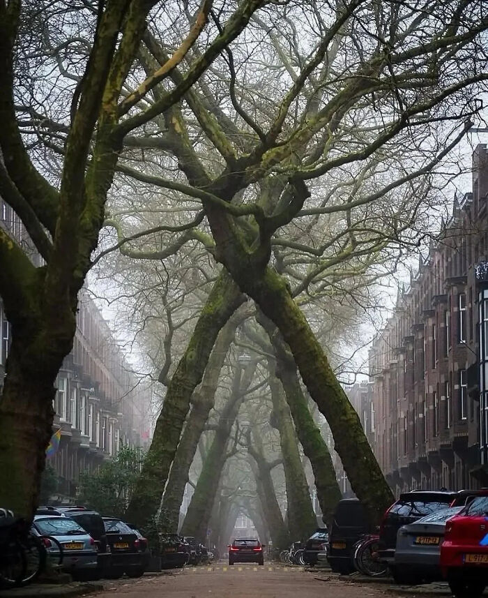91 Pics That Show Why Extremely Large Things Can Be So Scary And Eerie (New Pics) 91 Pics That Show Why Extremely Large Things Can Be So Scary And Eerie (New Pics)