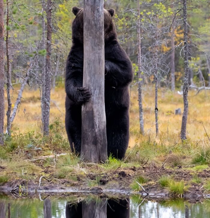 113 Of The Funniest And Most Ridiculous Animal Photos Ever Shared 113 Of The Funniest And Most Ridiculous Animal Photos Ever Shared