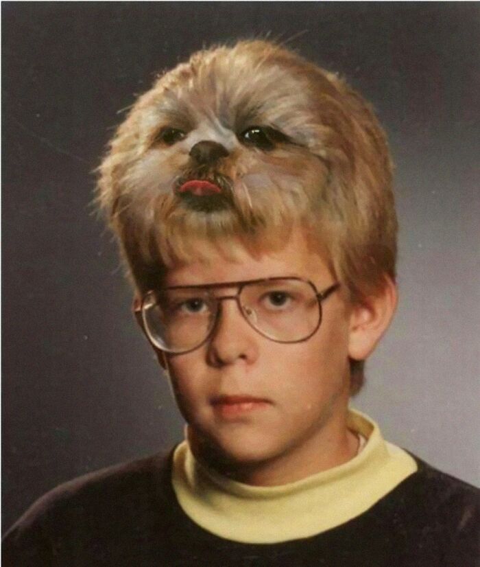 113 Of The Funniest And Most Ridiculous Animal Photos Ever Shared 113 Of The Funniest And Most Ridiculous Animal Photos Ever Shared