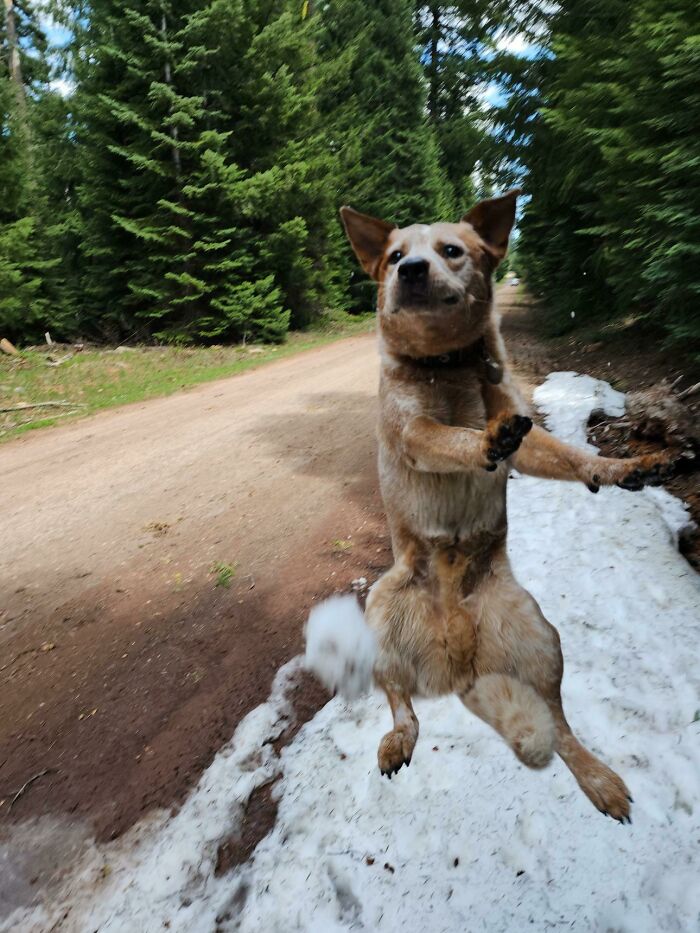 113 Of The Funniest And Most Ridiculous Animal Photos Ever Shared 113 Of The Funniest And Most Ridiculous Animal Photos Ever Shared